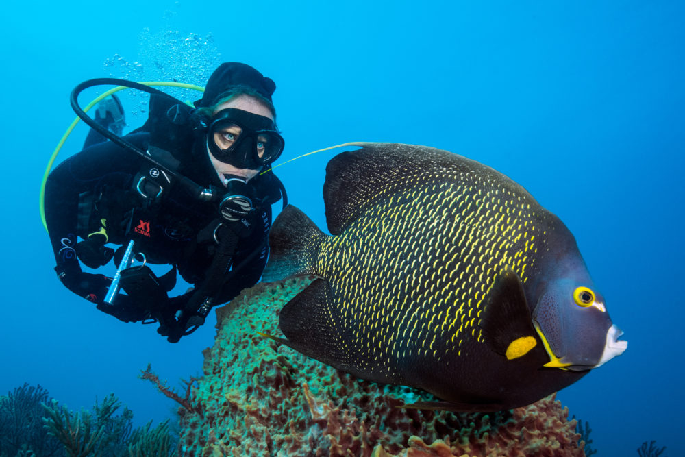Scuba diver with a beautiful colorful fish