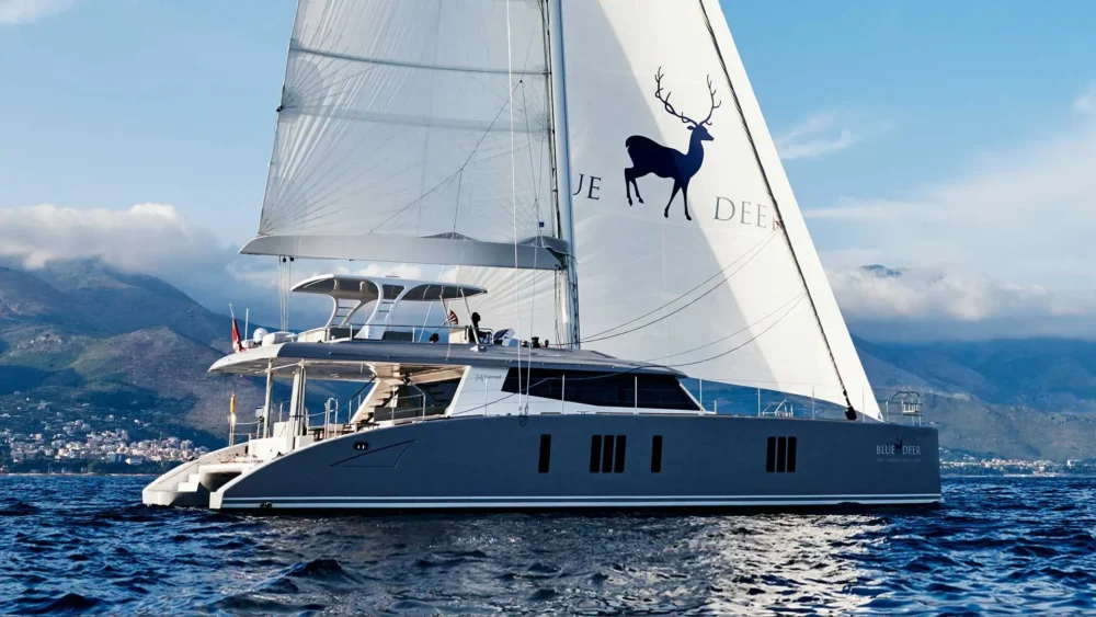 Catamaran Blue Deer