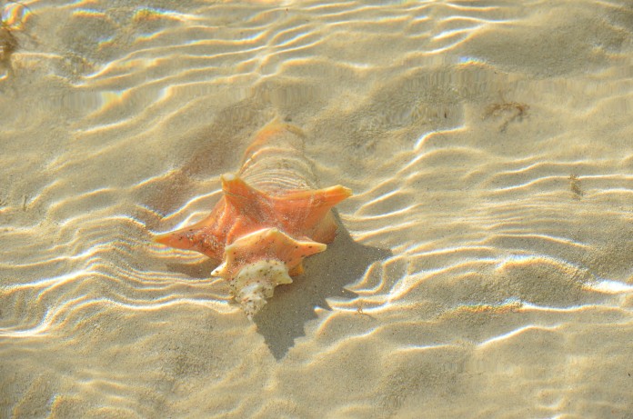 Highbourne Cay