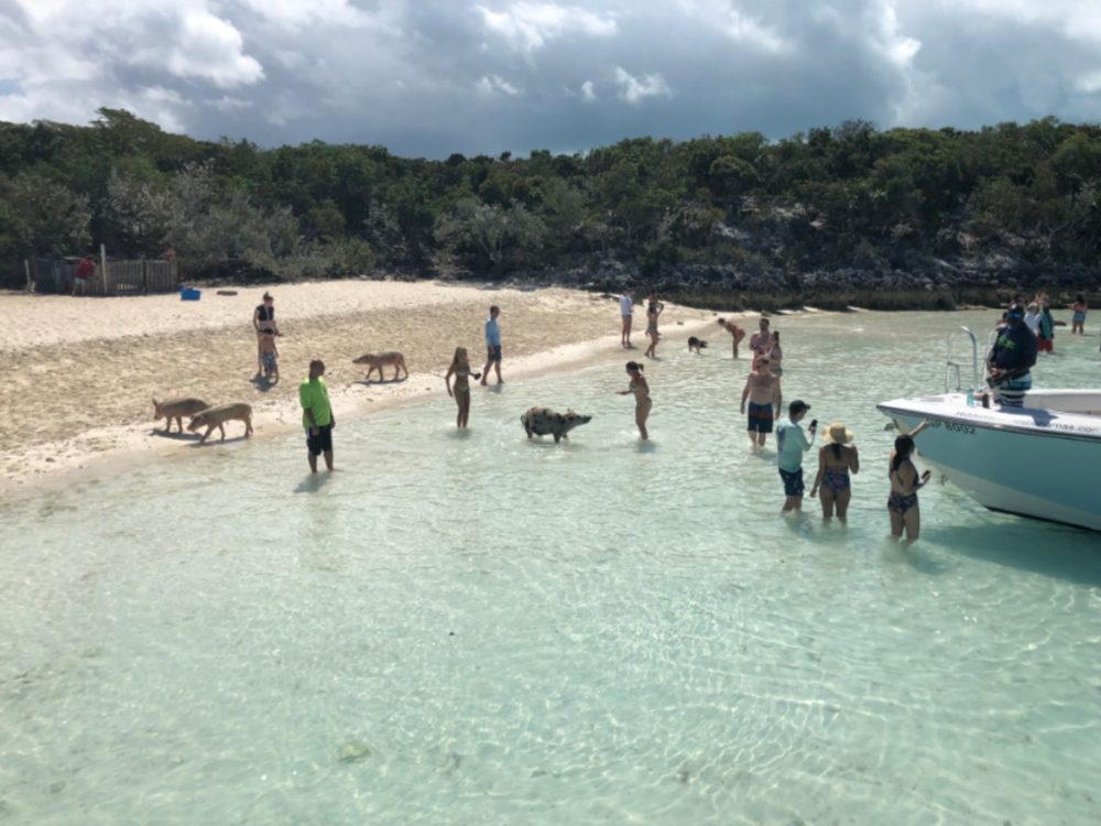 Big Major Cay, Exuma swim with the pigs