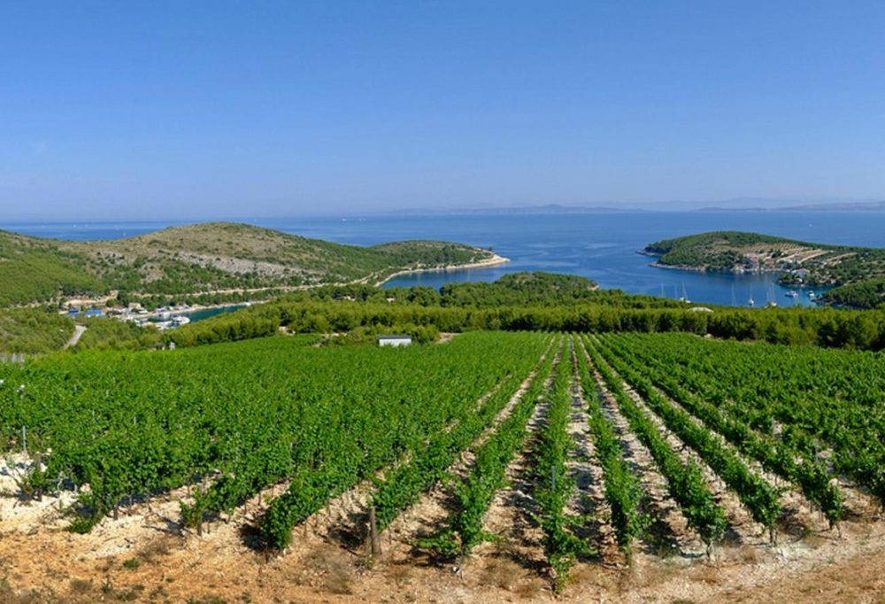 Peljesac Peninsula | Wine Lovers Paradise