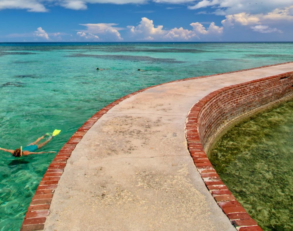 A snorkeler swims along the moat wall at Fort Jefferson in Dry Tortugas National Park. Photo by Rob O'Neal/Florida Keys News Bureau.