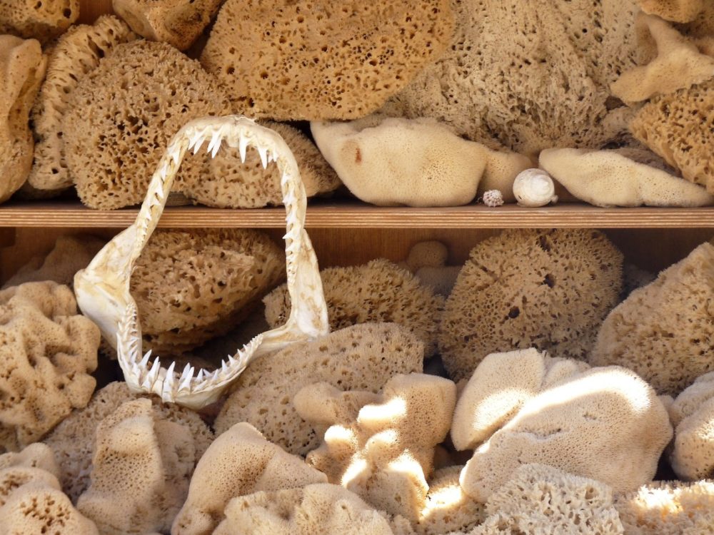 Kalymnos sponges. Photo by Yves Bernardi on Pixabay.