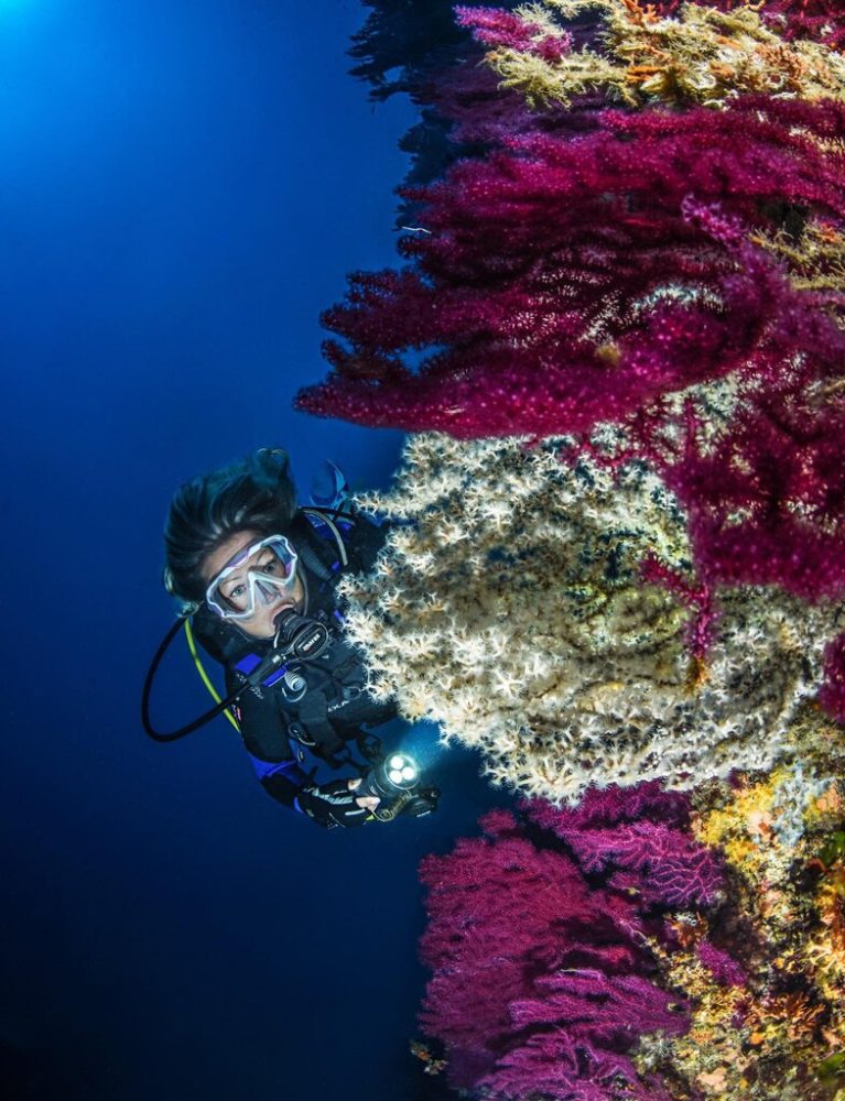 Kampanel diving off Vodnjak. Courtesy of Aqualis Dive Center