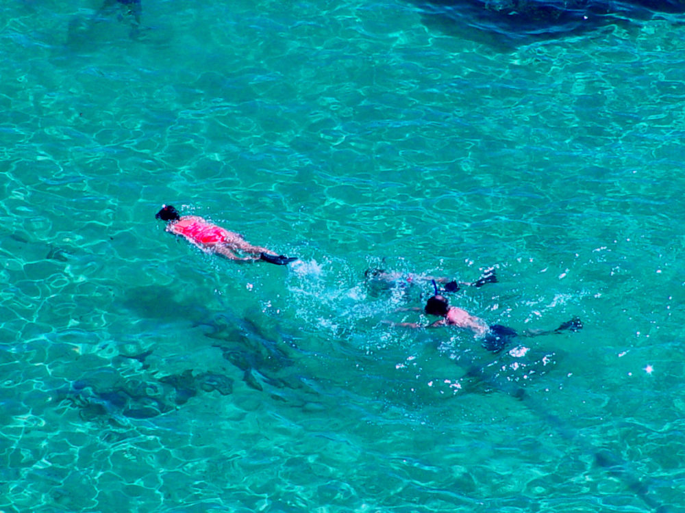 Snorkeling in the BVI