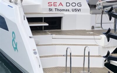 Catamaran SEA DOG Special Winter Rate