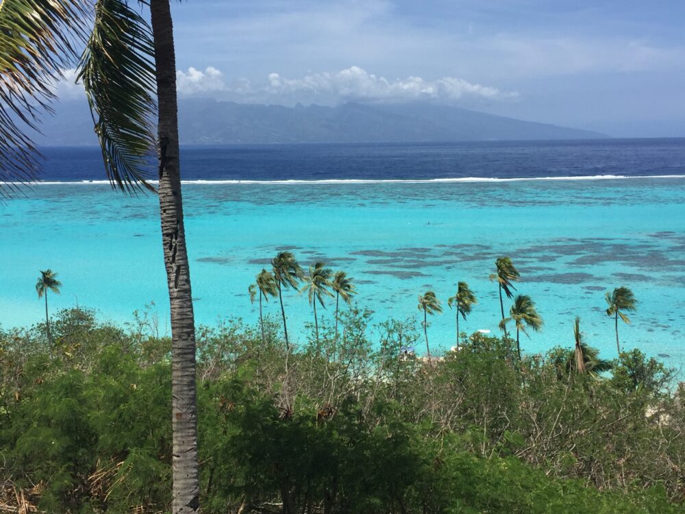 A scene from Moorea, French Polynesia