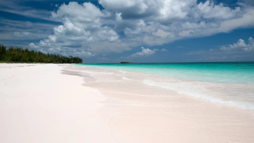 Pink sands. Exuma to Harbour Island Itinerary