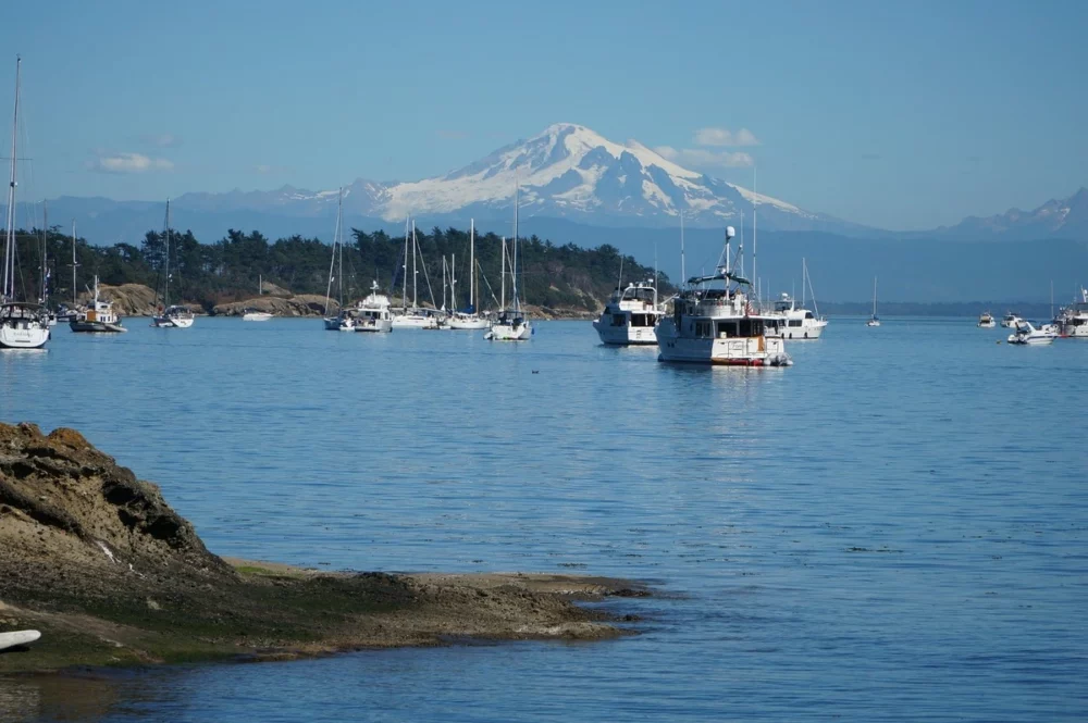 yacht charters puget sound