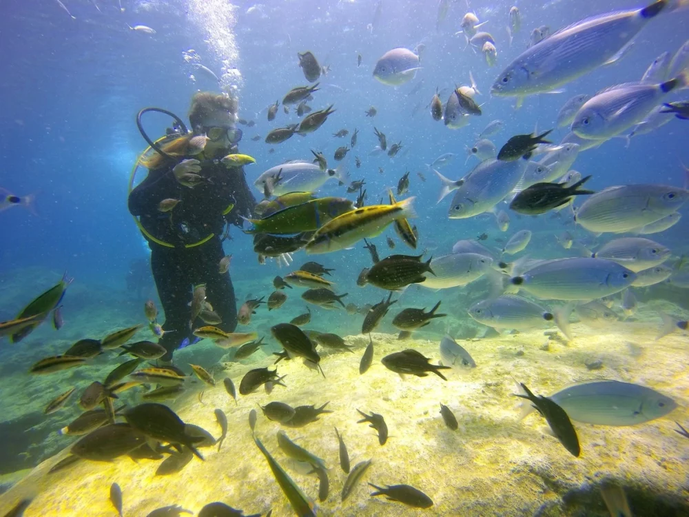 water toys and watersports in Turkey