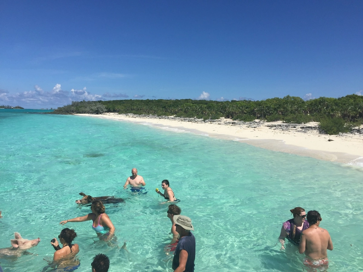 catamaran rental in bahamas