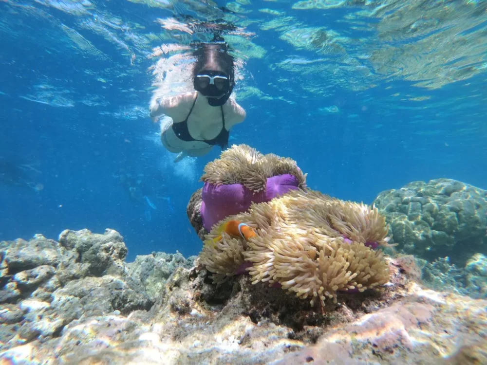 Snorkeling - Popular Things to do on a BVI Yacht Charter