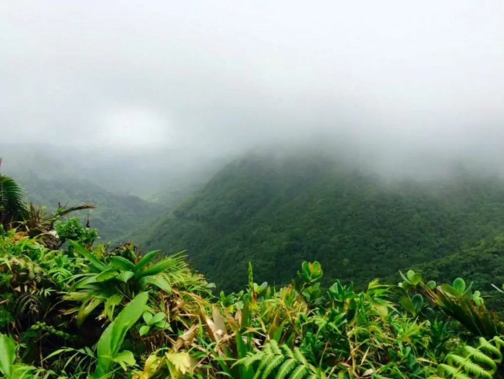 Dominica