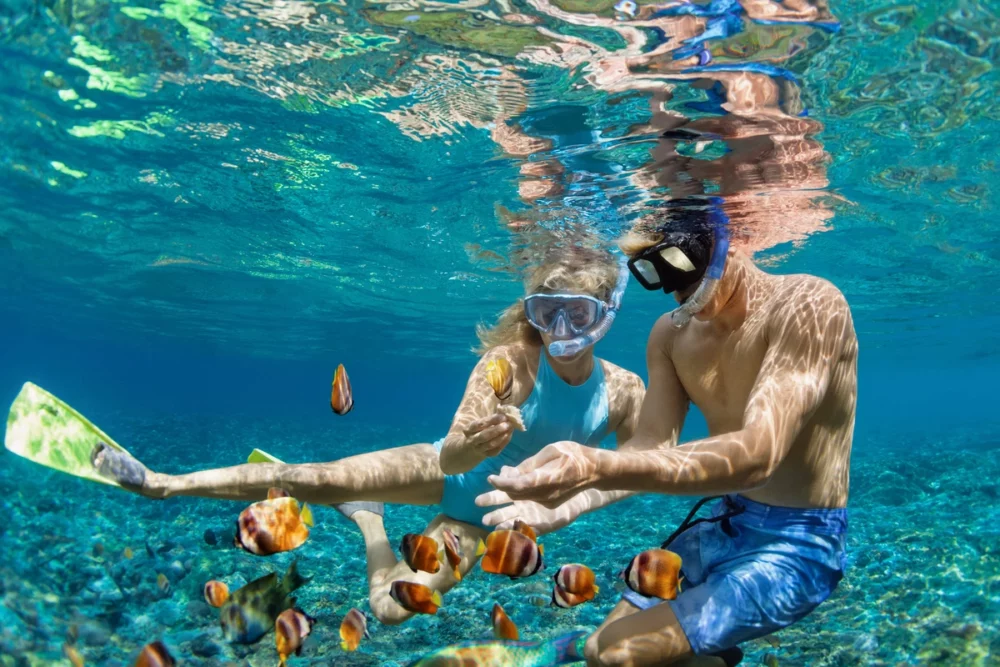 People Snorkeling in Charter Boat to Bahamas