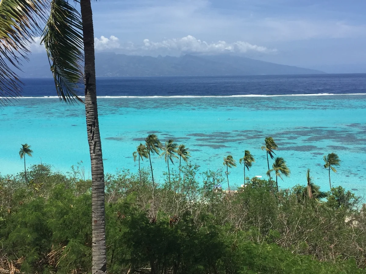 French Polynesia - Yacht Rental