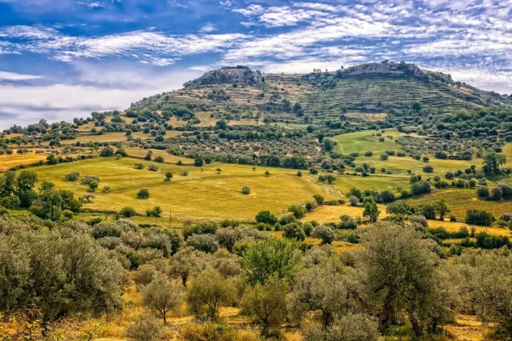 A beautiful landscape of Sicily with rolling hills, green fields, and olive trees under a vibrant sky. 