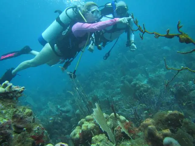 virgin-islands-scuba-diving - bvi catamaran charter with captain