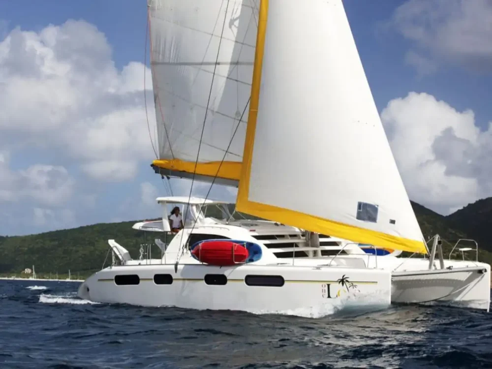 one love leopard sailing catamaran