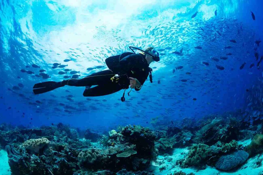 Unbridled  - scuba diving caribbean