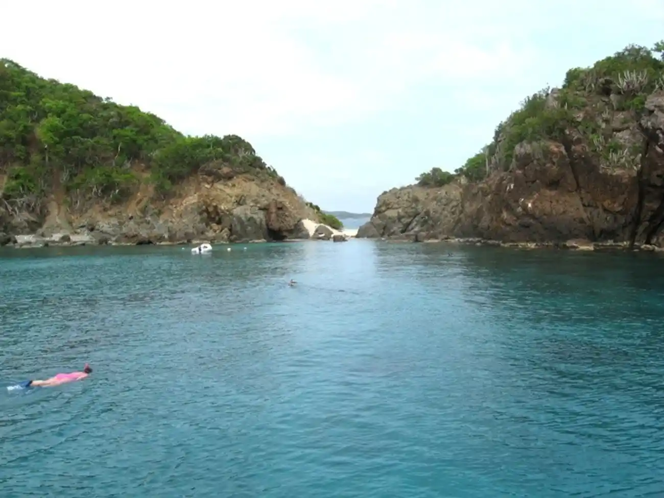 guana island 