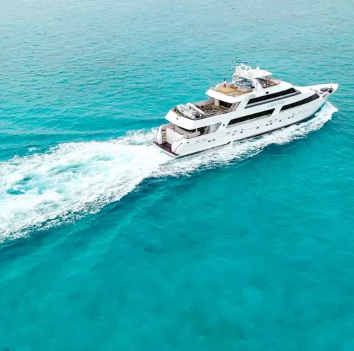 Sea Axis - Top 10 Yacht Charters in Newport
