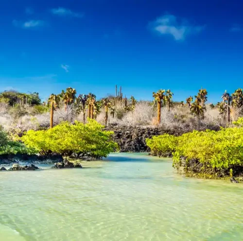 Galapagos