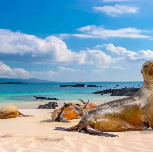 Galapagos itinerary B+C
