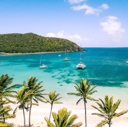 Mayreau